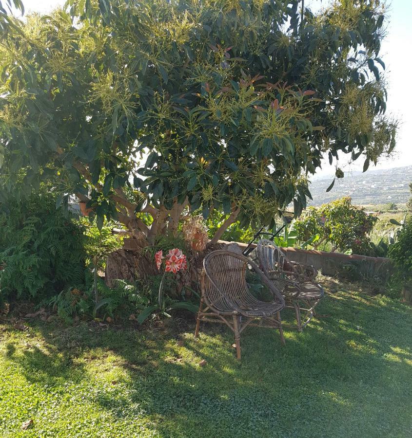 Affittacamere La Sabana Buenavista de Abajo Esterno foto